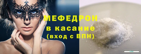 индика Сатка