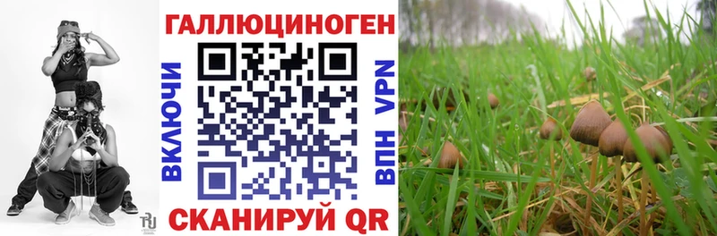 Псилоцибиновые грибы ЛСД  наркотики  mega сайт  Нея 